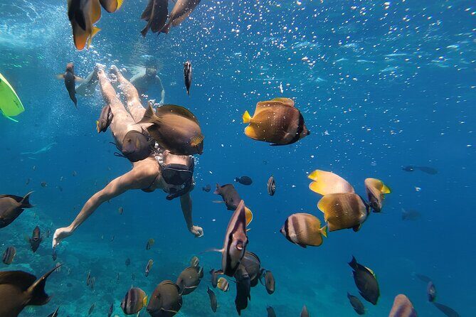 Snorkeling 4 Spot With Manta Bay Or Optional Land Trip - The Sum Up