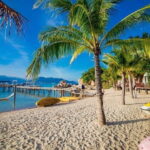 Snorkeling Adventure and Floating Bar Party in Nha Trang - Who Should Consider This Tour?