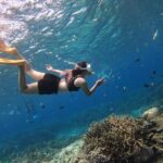 Snorkeling Day Trip to Nusa Lembongan and Nusa Penida - What the Reviews Say