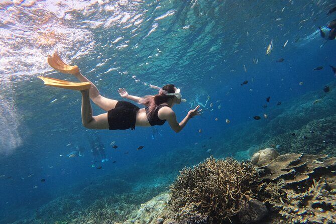 Snorkeling Day Trip to Nusa Lembongan and Nusa Penida - What the Reviews Say