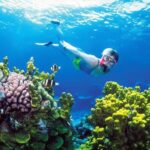 Snorkeling in Coral Island, Trincomalee - The Experience in Context