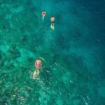 Snorkeling in Menjangan Island with Pickup and Lunch - Exploring Bali’s Underwater World at Menjangan Island