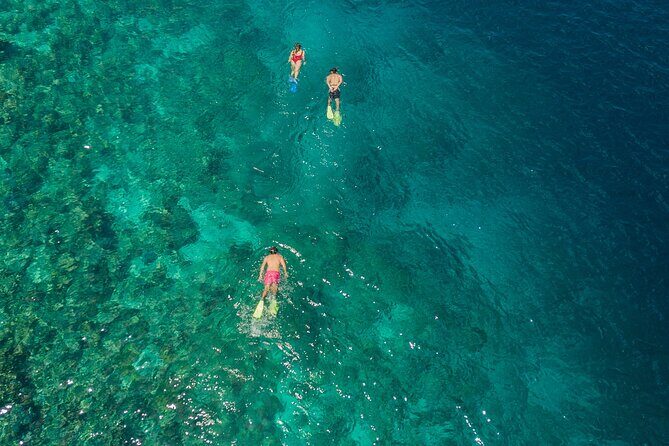 Snorkeling in Menjangan Island with Pickup and Lunch - Exploring Bali’s Underwater World at Menjangan Island