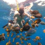 Snorkeling In Nusa Penida Island With Manta Ray From Bali - Who Is This Tour Best For?
