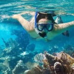 Snorkeling in Port City - The Value of the Experience
