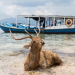 Snorkeling & Trekking at West Bali National Park - Who Would Enjoy This Tour?