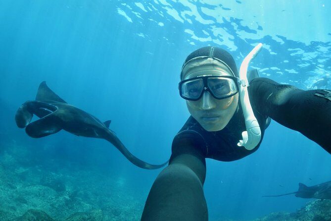 Snorkelling in Nusa Penida - Manta Point - Who Will Love This Tour?