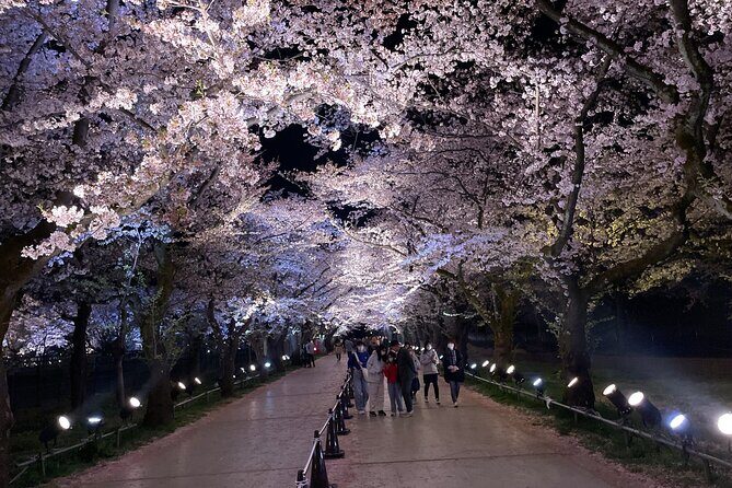 Snow Monkey and Cherry Blossom Illumination Tour (3rd ~19th Apr) - FAQs