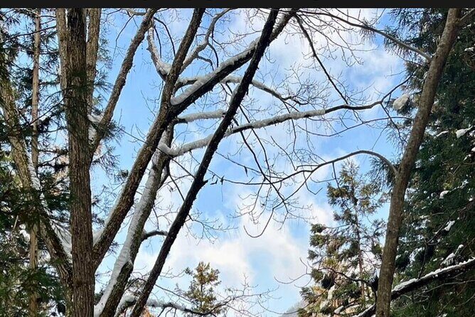 Snow Monkey Nagano Day Tour by Car English Driver in Person Guide - The Itinerary in Detail