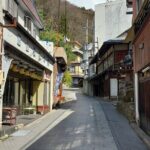 Snow Monkey Park, Soba Lunch and Shibu Onsen Tour - Who Should Consider This Tour?