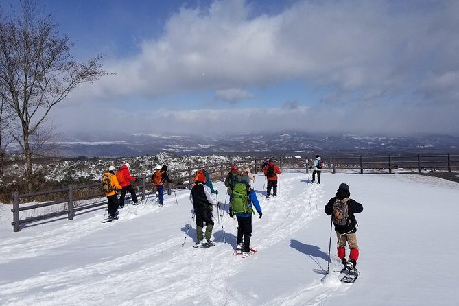 -Snow mountain hiking at the foot of Asama- Karuizawa Snowshoe Tour - Why You Should Consider This Tour