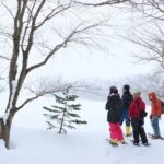 Snowshoe tours in Niseko Explore beautiful snowscapes adventure - An In-Depth Look at the Niseko Snowshoe Experience