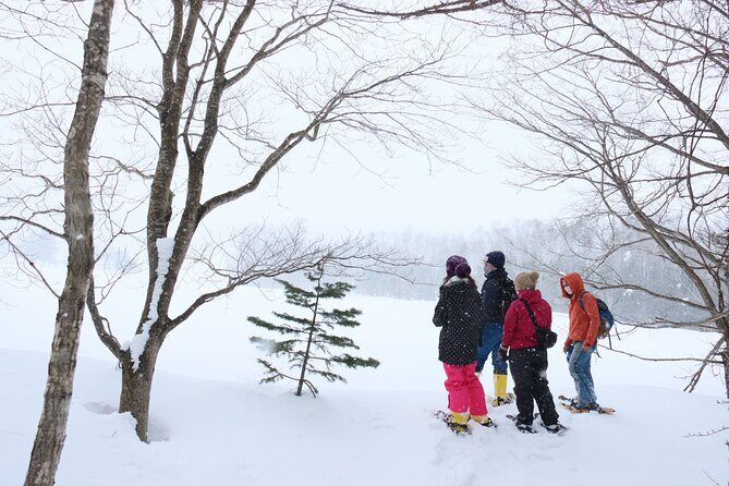 Snowshoe tours in Niseko Explore beautiful snowscapes adventure - An In-Depth Look at the Niseko Snowshoe Experience