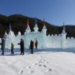 Snowyland, Strawberry Picking & Alpaca World - The Strawberry Experience