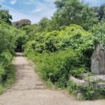 Southern Kyoto: Journey to Jruri-ji & Its Pure Land Garden - Frequently Asked Questions