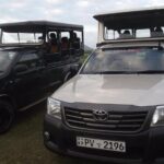 Special Leopards safari - Yala National park - 04.30 am to 11.30 am - Authentic Encounters and Real Traveler Perspectives