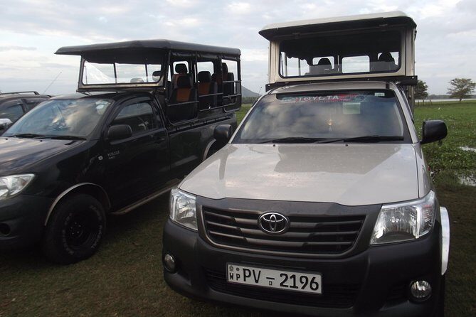 Special Leopards safari - Yala National park - 04.30 am to 11.30 am - Authentic Encounters and Real Traveler Perspectives