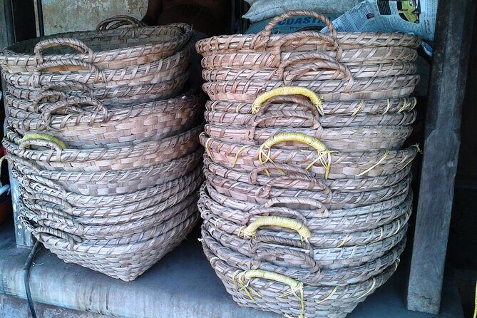 Spike's Guided Tour -Quintessential Goa in a Nutshell - The Overall Experience: Pros and Considerations