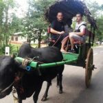 Sri Lanka: 10 Days tour with 3-4* Hotels(HB)Driver & Private Car - What Makes This Tour Stand Out?