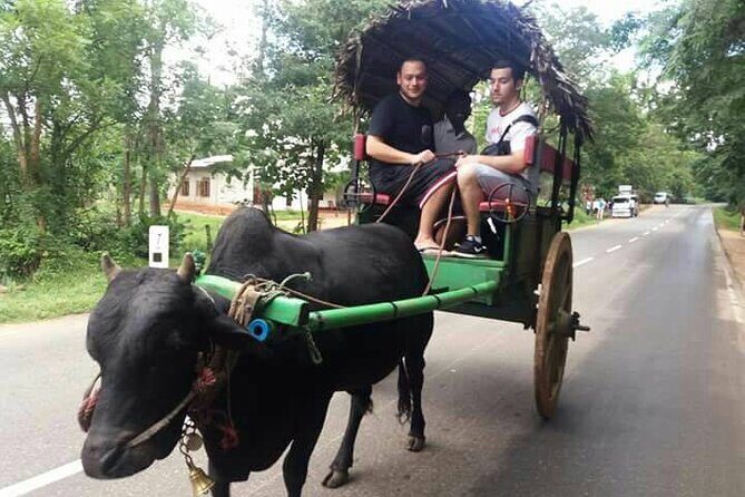 Sri Lanka: 10 Days tour with 3-4* Hotels(HB)Driver & Private Car - What Makes This Tour Stand Out?