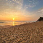 Sri Lanka: 3-Day 2night South Coast Tour with Whale Watching - What the Tour Includes and Excludes