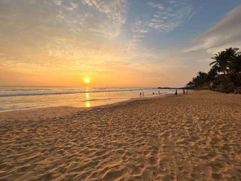 Sri Lanka: 3-Day 2night South Coast Tour with Whale Watching - What the Tour Includes and Excludes