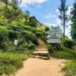 Sri Lanka 3-day Private Tour: Kandy, Nuwara Eliya, Ella - Why This Tour Offers Good Value