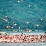 Sri Lanka 5-Day Private Local Experince Tour - Final Thoughts: Is This Tour Right for You?