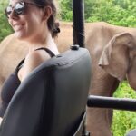 Sri Lanka Car and Driver Hire - Authentic Experiences and Honest Insights from Travelers