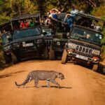 Sri Lanka Round Tour-Sigiriya, Ella Train Ride Safari Adventure - A Detailed Look at the Sri Lanka Round Tour