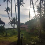 Sri Lanka's highlights: 12-day tour with temples, tea plantations and nature - FAQ