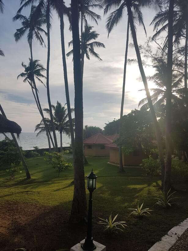 Sri Lanka's highlights: 12-day tour with temples, tea plantations and nature - FAQ