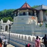 Srilankan Driver with Car 3 Day Tour Sigiriya,Kandy,Nuwaraeliya - The Sum Up