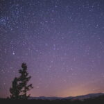 Stargazing Nights in the Kodachadri Forest - Exploring Kodachadri Forest: An Unrivaled Stargazing Destination