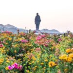 Statue of Unity tour from Ahmedabad in private car with lunch and guide - What’s Included and What to Keep in Mind