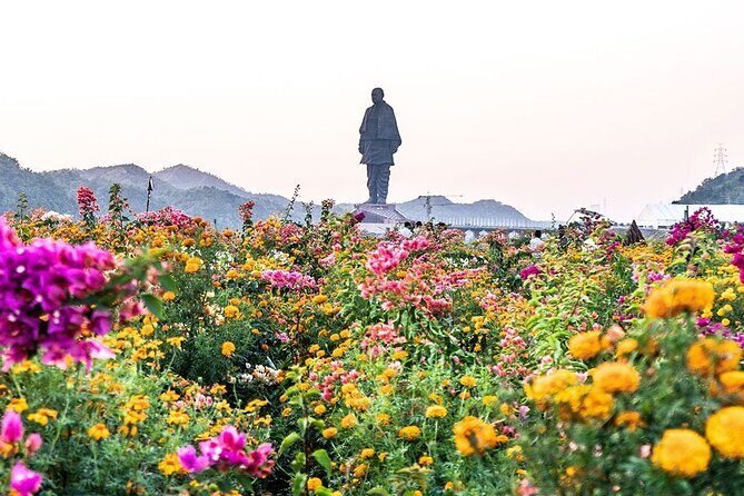 Statue of Unity tour from Ahmedabad in private car with lunch and guide - What’s Included and What to Keep in Mind