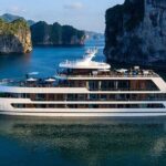 Stellar of The Seas Best Top Vip Cruise Ha Long Bay 2 Day 1 Night - Final Thoughts