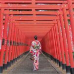 Strawberry Picking and Exploring Beautiful City of Tamba Sasayama - Practical Tips for Travelers