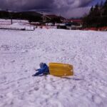 Strawberry Picking and Snow experience at Mt Fuji ski resort for VIP - The Practicalities: What’s Included and What to Budget