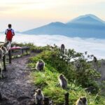 Stunning and Magnificent Kintamani Highland Tour with Barong Dance - Who Is This Tour Best For?