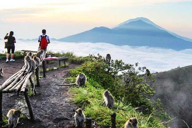 Stunning and Magnificent Kintamani Highland Tour with Barong Dance - Who Is This Tour Best For?