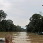 Sukau Rainforest Wildlife and Dawn Cruises Tour in Sandakan - Practical Details for Travelers