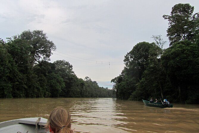 Sukau Rainforest Wildlife and Dawn Cruises Tour in Sandakan - Practical Details for Travelers