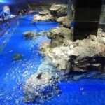 Sumida Aquarium Ticket Tokyo - Who Should Visit?