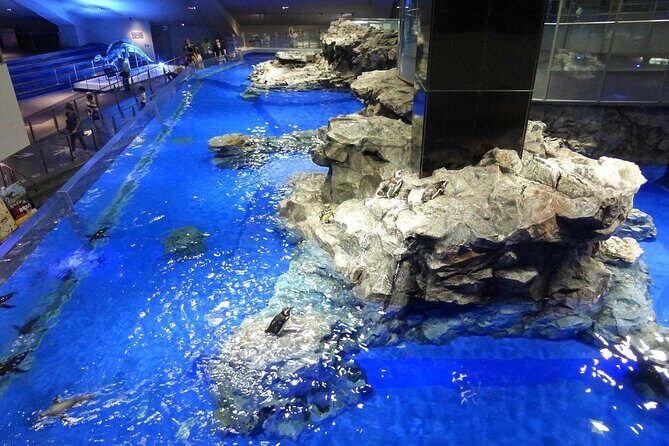 Sumida Aquarium Ticket Tokyo - Who Should Visit?