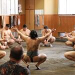 Sumo Practice Watch with a Specialist Reporter - The Sum Up