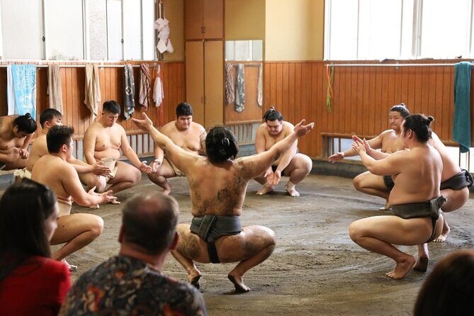 Sumo Practice Watch with a Specialist Reporter - The Sum Up