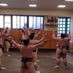 Sumo Practice Watching and Japans Beautiful Culture and History - Who Will Appreciate This Tour?