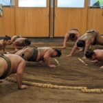 Sumo show and Chanko lunch - The Sum Up