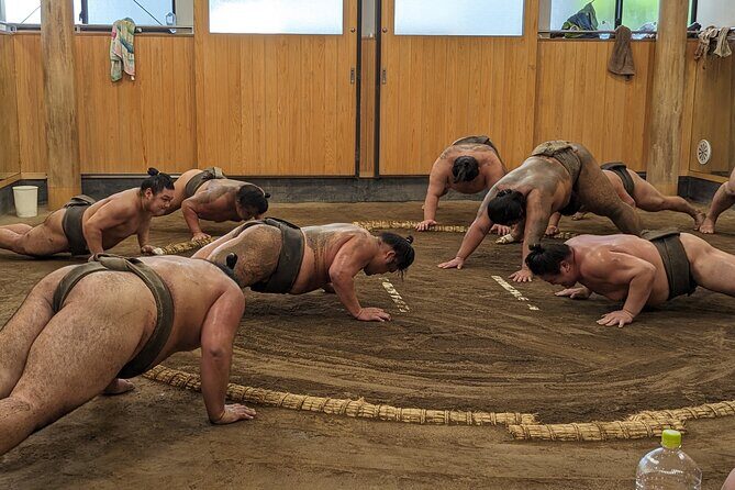 Sumo show and Chanko lunch - The Sum Up